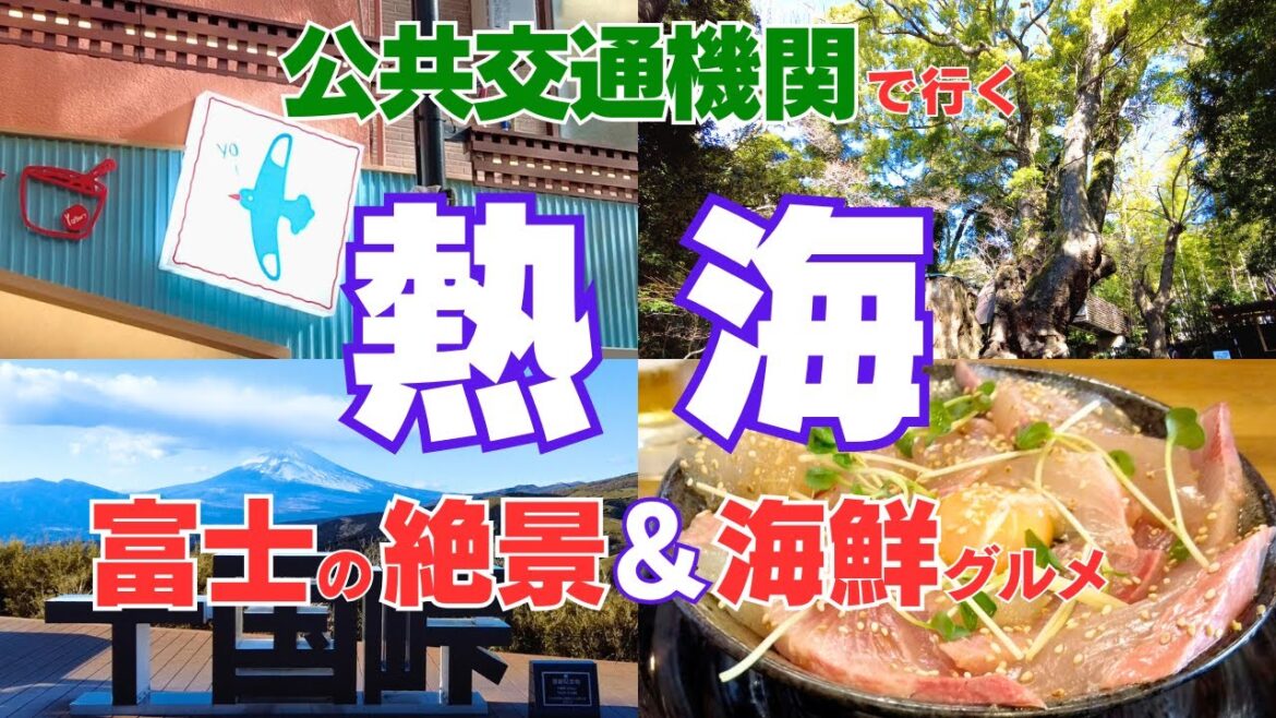 【車なし・公共交通／女ひとり旅】静岡県・熱海2025観光／魚港の海鮮♪熱海梅園♪来宮神社♪十国峠の絶景を巡る旅