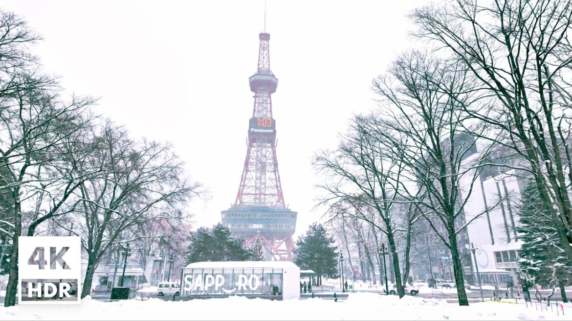 【Hokkaido】Snowy Sapporo | 4K HDR, Binaural Japan Ambience【02/18/2025】 【Hokkaido】Snowy Sapporo | 4K HDR, Binaural Japan Ambience【02/18/2025】