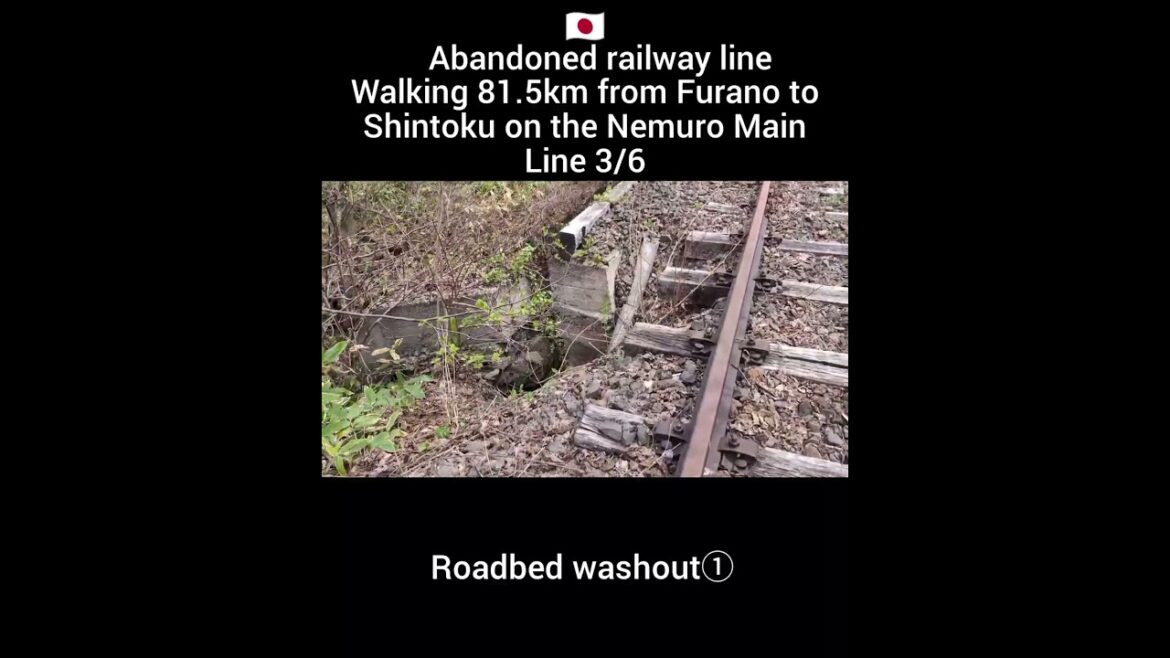 Abandoned railway line.Walking 81.5km from Furano to Shintoku on the Nemuro Main Line 4/6