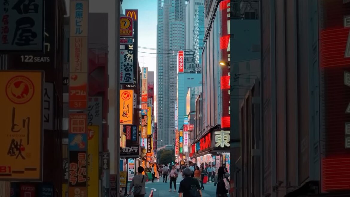 Why Shinjuku is the Best Part of Tokyo Why Shinjuku is the Best Part of Tokyo