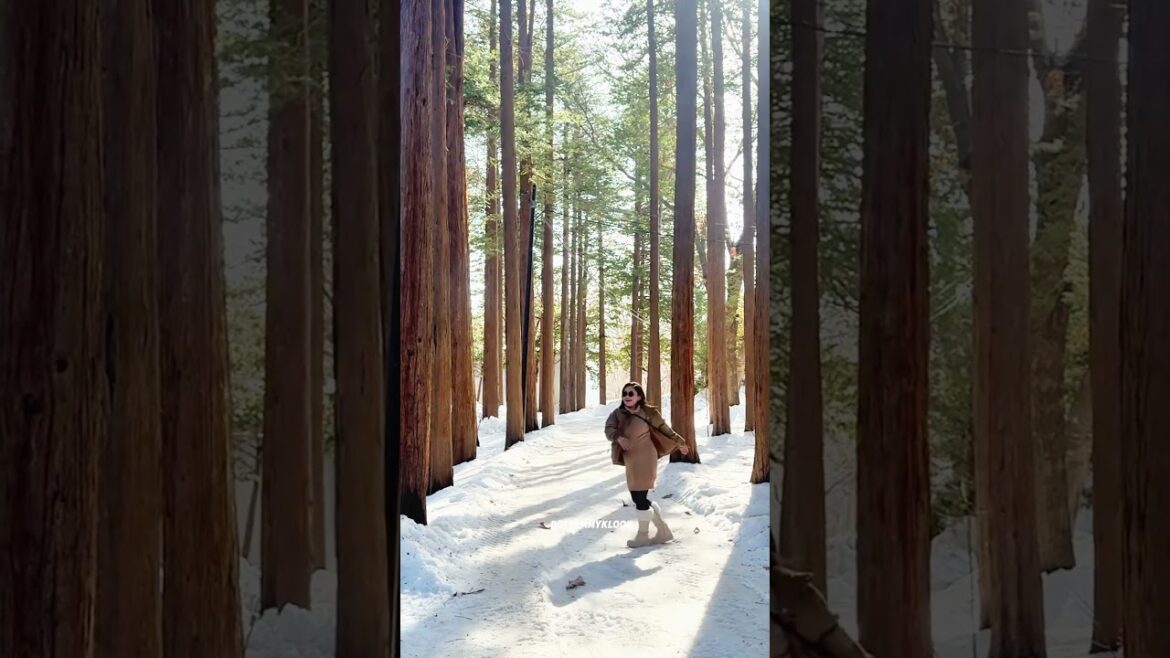 My fave winter destination- Sapporo 🇯🇵✈️✨#sapporo #hokkaido #japan #japanisfun #japantravels