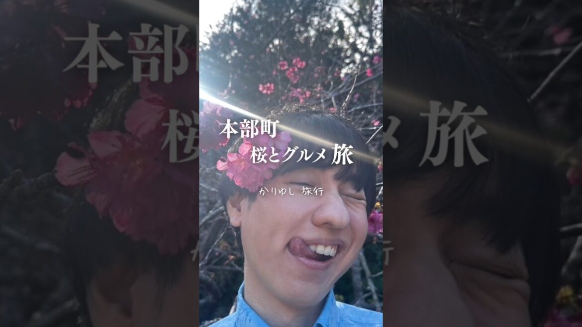 【沖縄旅行】桜とグルメ旅