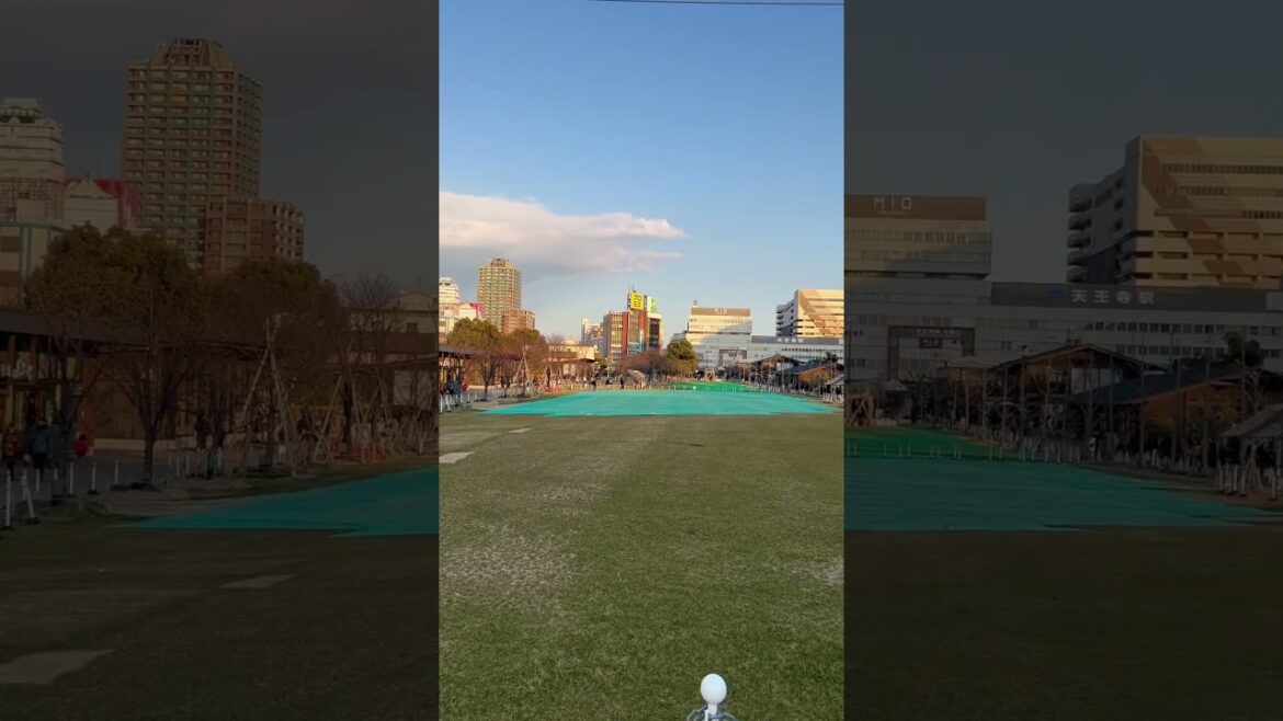 【OSAKA】Everyday Common Scene - Tenshiba Park