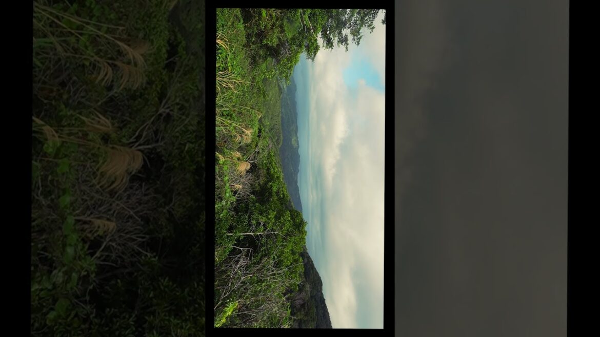 Family Friendly Cherry Blossom Tours at Yaedake Sakuranomori