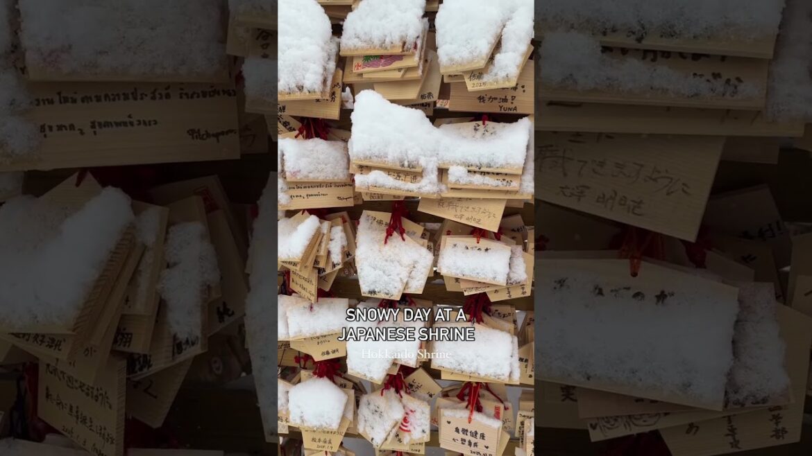 Winter in Hokkaido, Japanese Shrine Winter in Hokkaido, Japanese Shrine