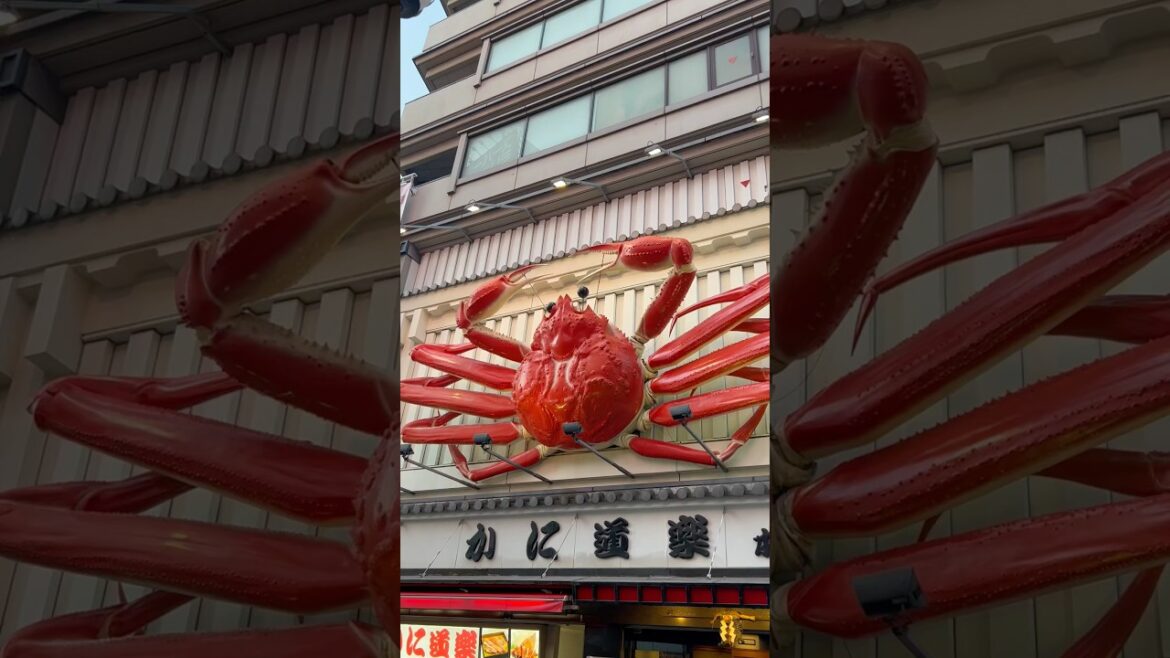 Dotonbori, Namba, Osaka | Kuidaore #eattillyouall #kuidaore #osaka #shorts
