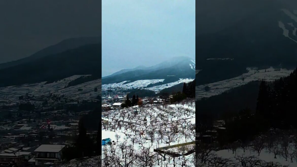 Winter in Nagano, An I-Person’s Perfect Haven #nagano #japanwinter