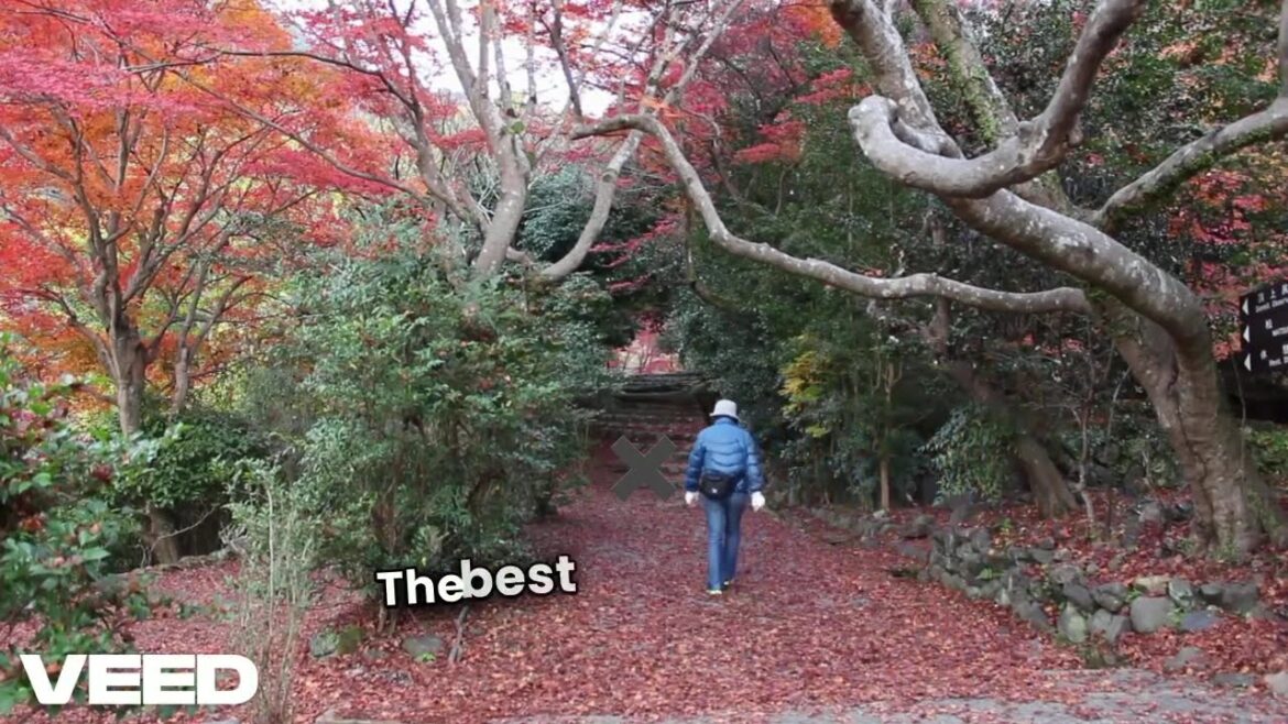 Kyoto Travel Guide π―π΅ Best Places, Food & Tips! Kyoto Travel Guide π―π΅ Best Places, Food & Tips!