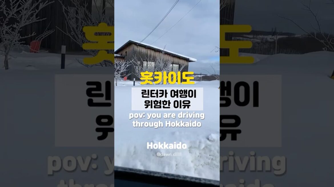 Hokkaido | 비에이 렌터카 여행이 위험해? | driving through #hokkaido #japan Hokkaido | 비에이 렌터카 여행이 위험해? | driving through #hokkaido #japan