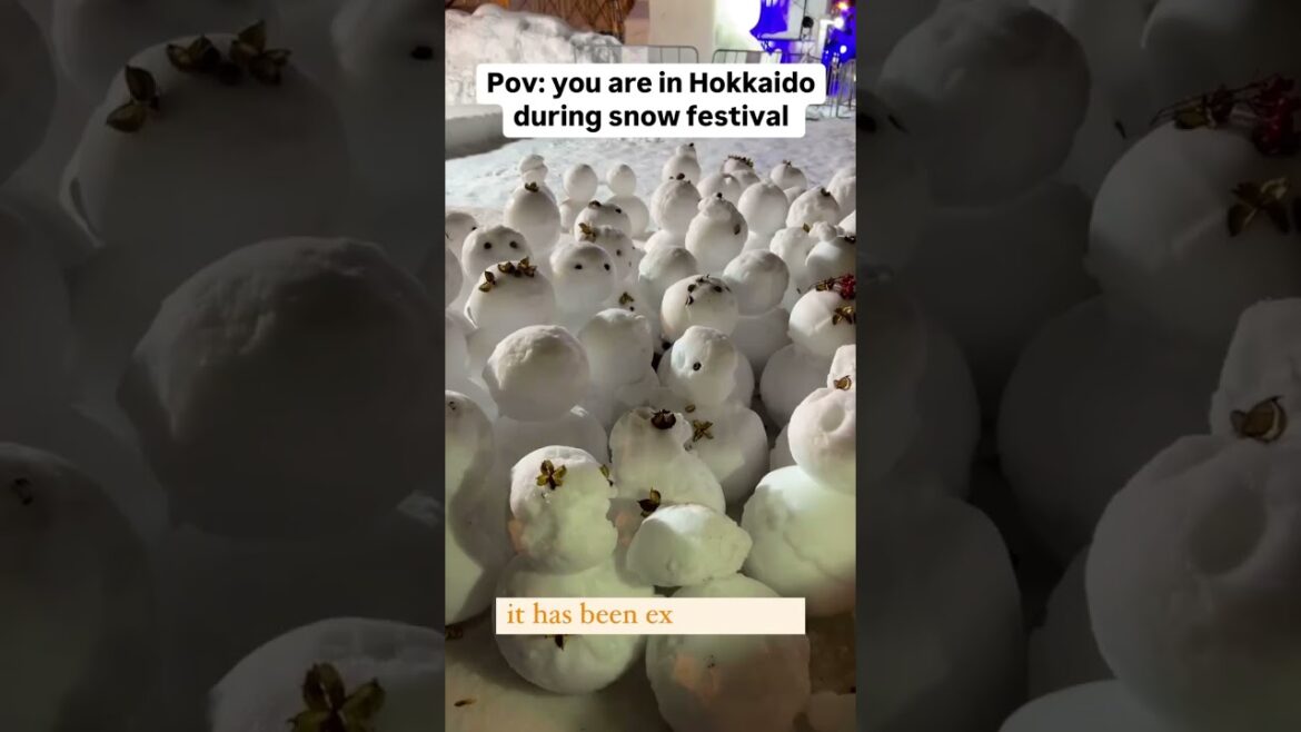 Snow festival #travel #winter #snow #experience #hokkaido #japan #world