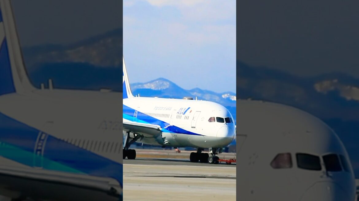 函館空港　ＡNＡ　Boeing 787-8 Dreamliner B788 (JA824A)プッシュバック
