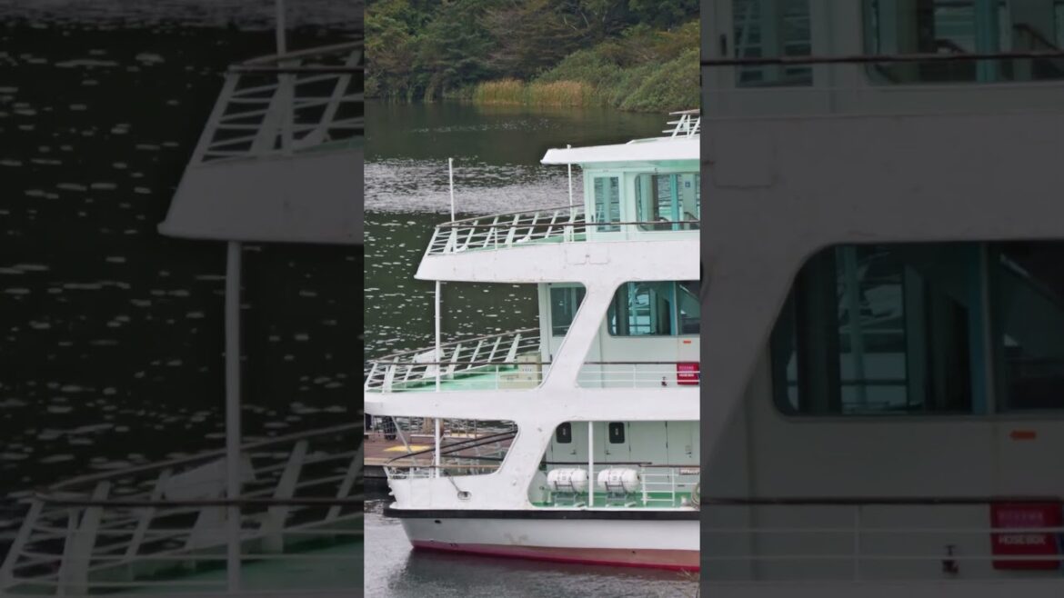 Preview Clips for 🏨 Hakone Hotel Tour | A Stay with History & Scenic Views | 4K HDR GH7 #hakone