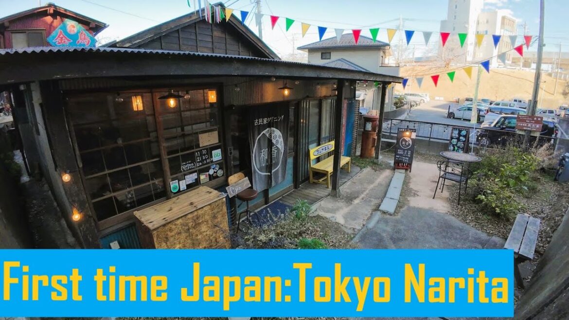 First time in Japan | My Hotel in Tokyo Narita | Dinner in the Retro Restaurant Waka First time in Japan | My Hotel in Tokyo Narita | Dinner in the Retro Restaurant Waka