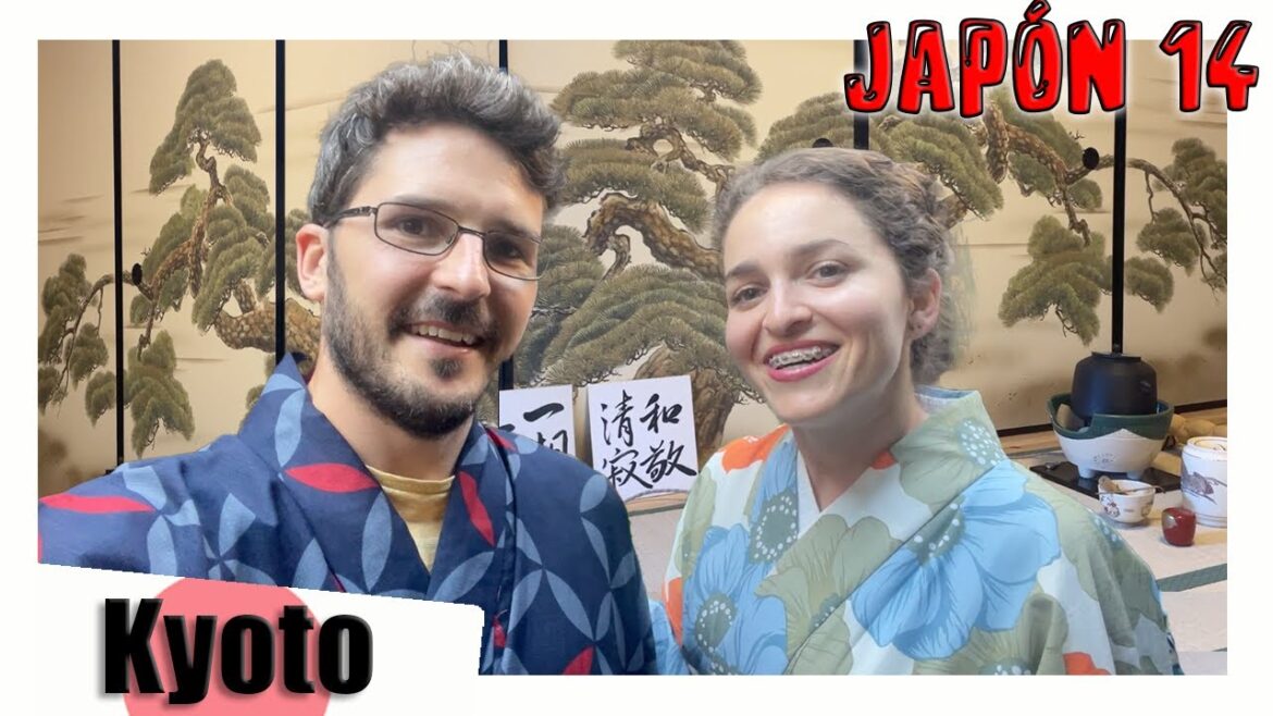 Ceremonia del té en KYOTO 👘 ¿Cuál es la diferencia entre GEISHAS y MAIKOS? Ceremonia del té en KYOTO 👘 ¿Cuál es la diferencia entre GEISHAS y MAIKOS?