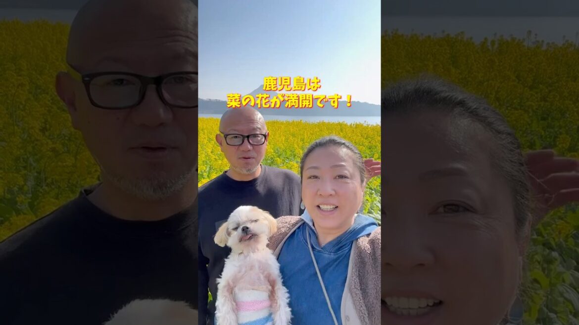 【鹿児島突入‼️】#砂むし温泉#そうめん流し#旅は自己投資#日本一周