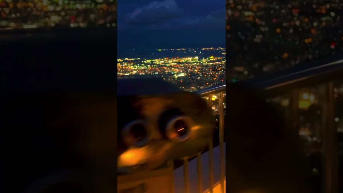 Sarakurayama / 皿倉山#fukuoka #japan #japantravel #皿倉山 #夜景 #福岡 #北九州