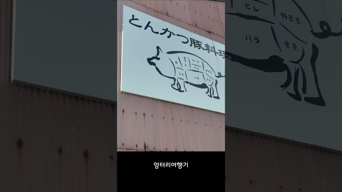 ★SHORTS049 교토의 맛집을 향하는 신난 하루 #일본 #교토 #일본여행 #일본맛집 #교토여행 #교토맛집 #오사카맛집 #food #streetfood ★SHORTS049 교토의 맛집을 향하는 신난 하루 #일본 #교토 #일본여행 #일본맛집 #교토여행 #교토맛집 #오사카맛집 #food #streetfood