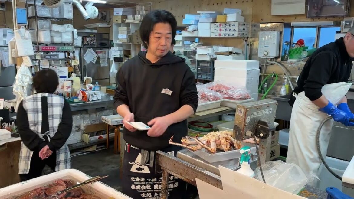 Hokkaido 2024 Travel