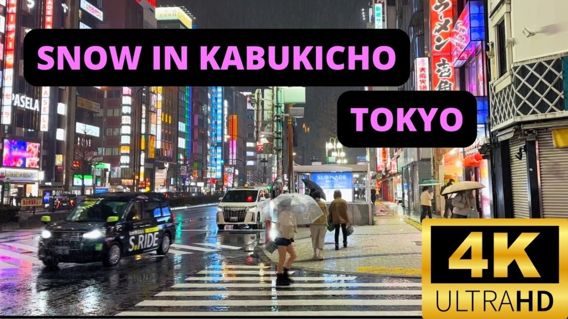 Rare Snowfall in Tokyo ❄️ Walking Through Kabukicho, Shinjuku — MARCH 2025 Rare Snowfall in Tokyo ❄️ Walking Through Kabukicho, Shinjuku — MARCH 2025