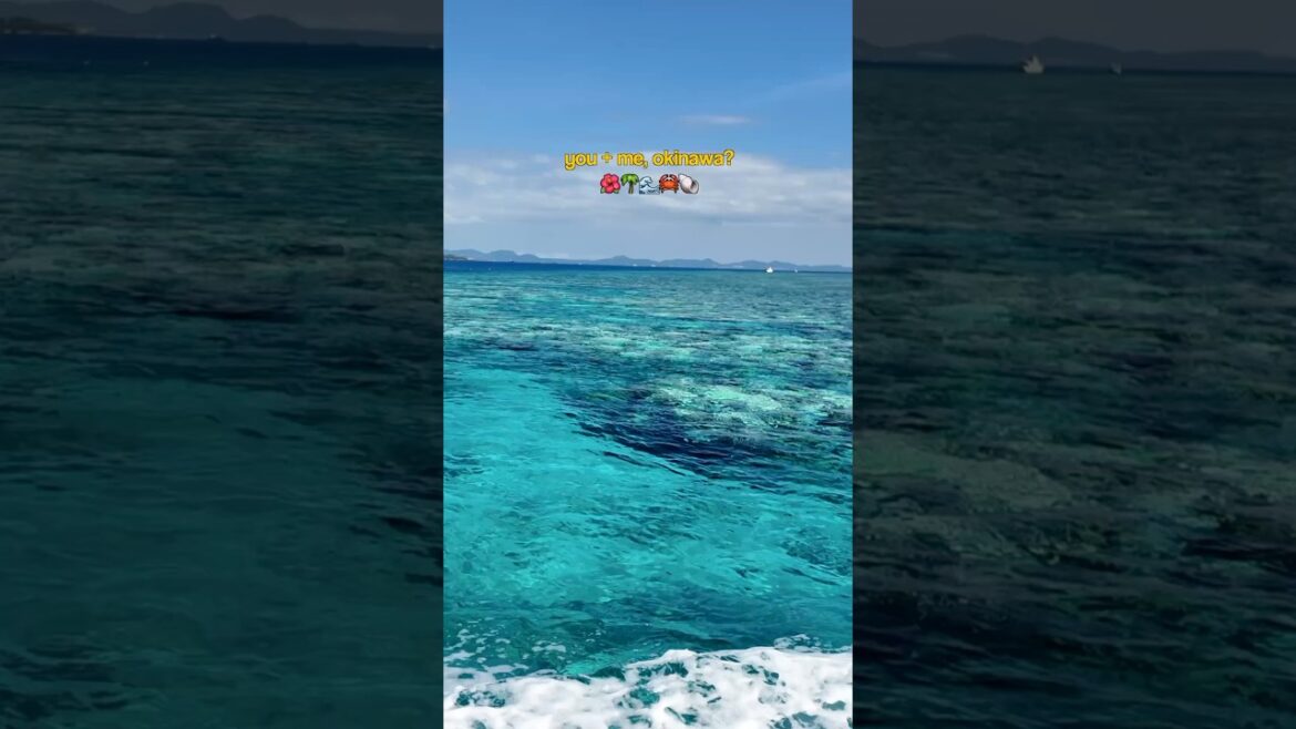 3 weeks in #okinawa  🦀🐳