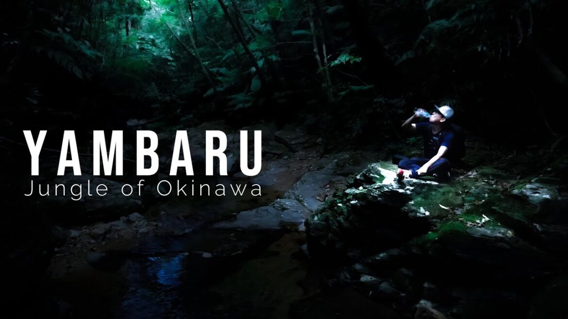 One Man’s Epic Adventure | Cinematic Movie | FPV & Drone