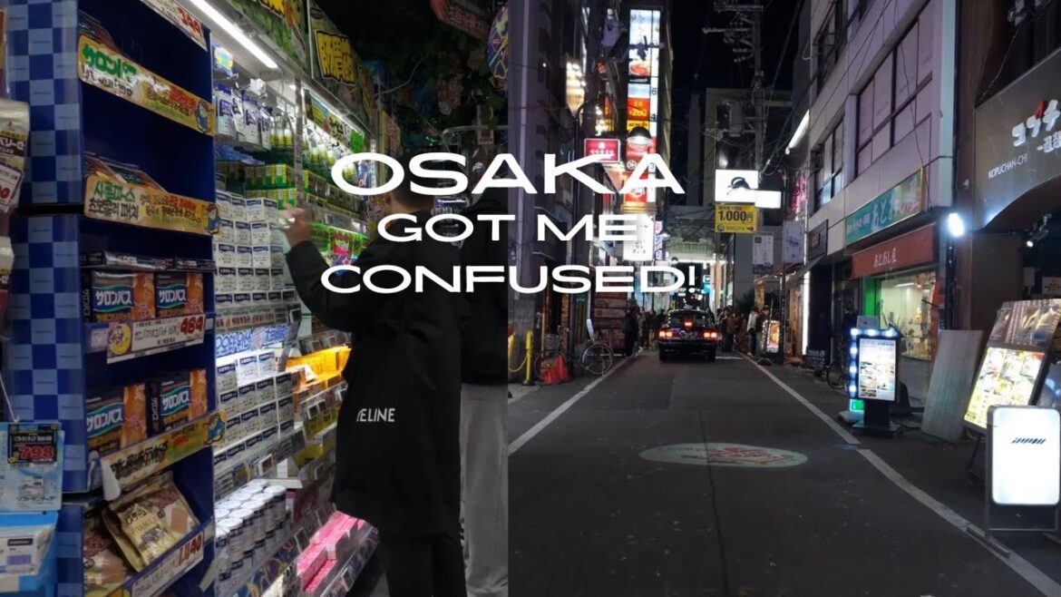 Osaka VLOG pt2 | Osaka Castle | Kyoto Day Trip | Shinsaibashi | Dotonbori | Kobe beef | Osaka burger