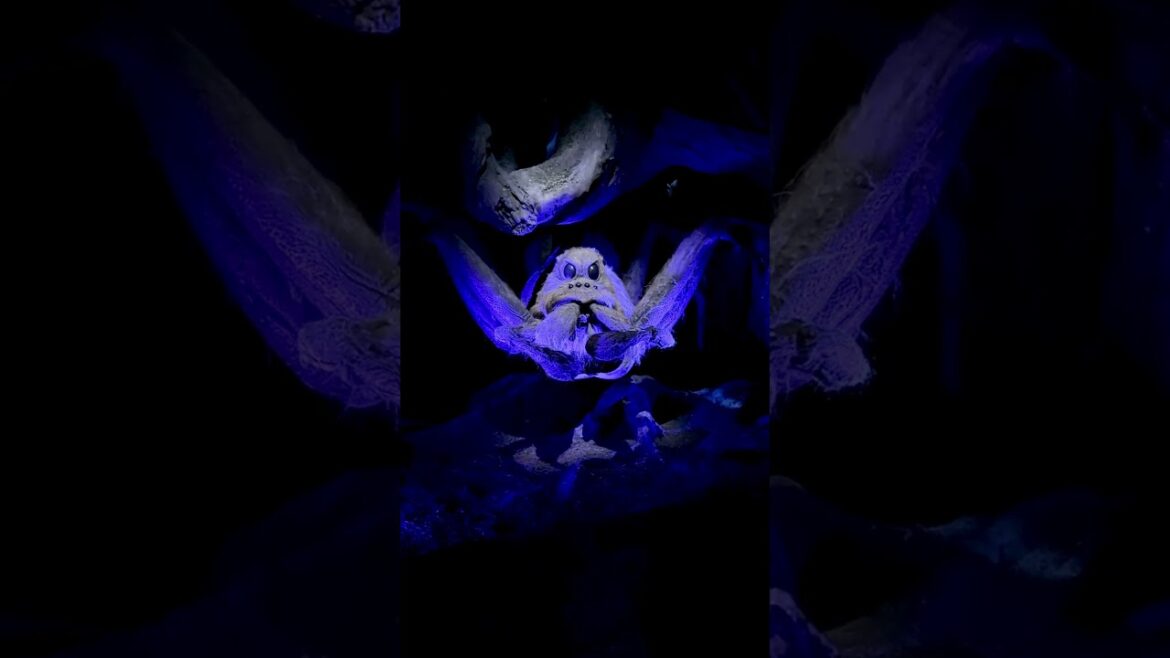 Harry Potter Warner Bros. Tokyo Tour. Japanese talking spider🤣 #harrypotter #youtubeshorts #tokyo Harry Potter Warner Bros. Tokyo Tour. Japanese talking spider🤣 #harrypotter #youtubeshorts #tokyo