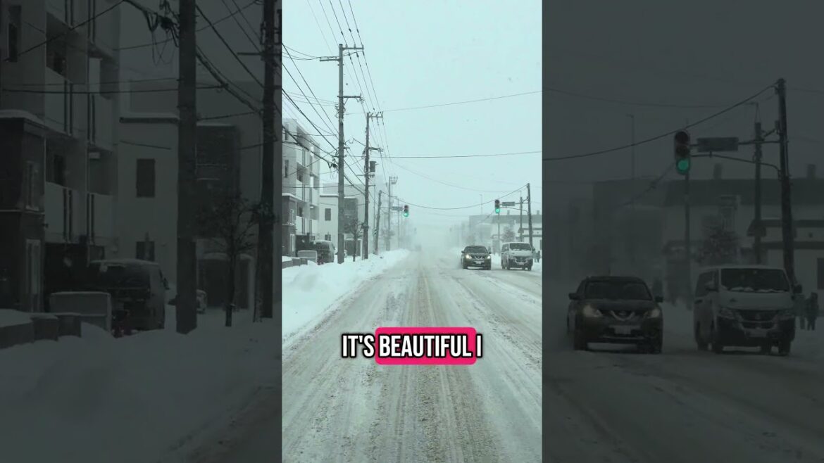 Hokkaido Winter Family Trip with Toyota Alphard