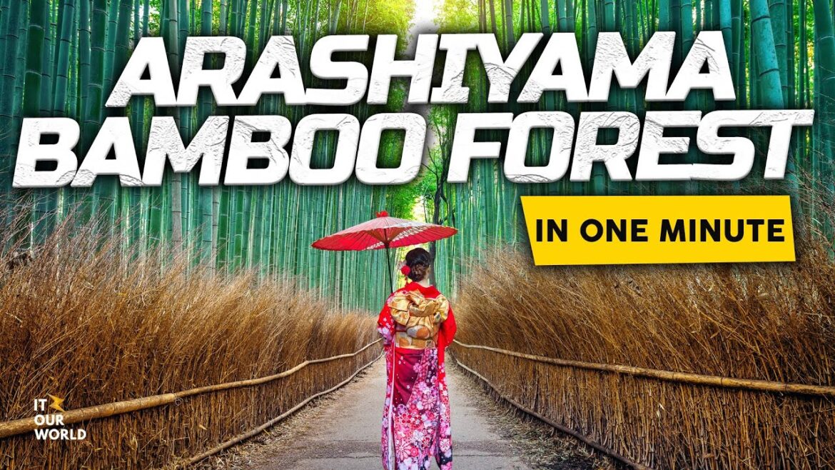 ARASHIYAMA BAMBOO FOREST