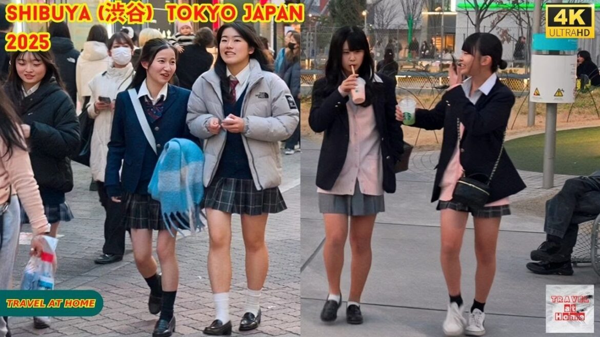 4k hdr Japan travel 2025 | Walk in Shibuya (渋谷) Tokyo Japan | Relaxing Natural City ambience 4k hdr Japan travel 2025 | Walk in Shibuya (渋谷) Tokyo Japan | Relaxing Natural City ambience