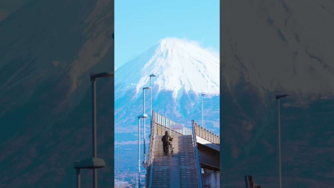 후지산이 가장 잘보이는 일본여행지 #japantravel #shorts