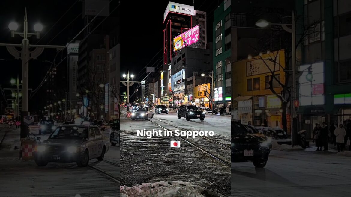 Sapporo Magical Night Vibes ✨️ #travel