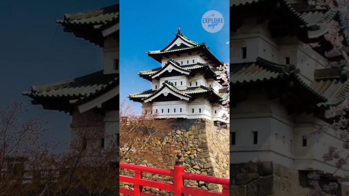 Hirosaki-Park: Der beste Kirschblütenplatz in Japan #trending #shortvideo Hirosaki-Park: Der beste Kirschblütenplatz in Japan #trending #shortvideo