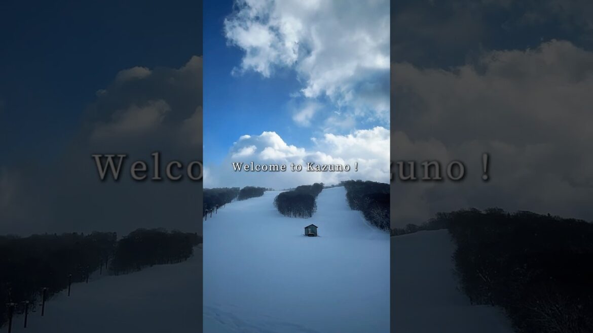 Welcome to Kazuno！