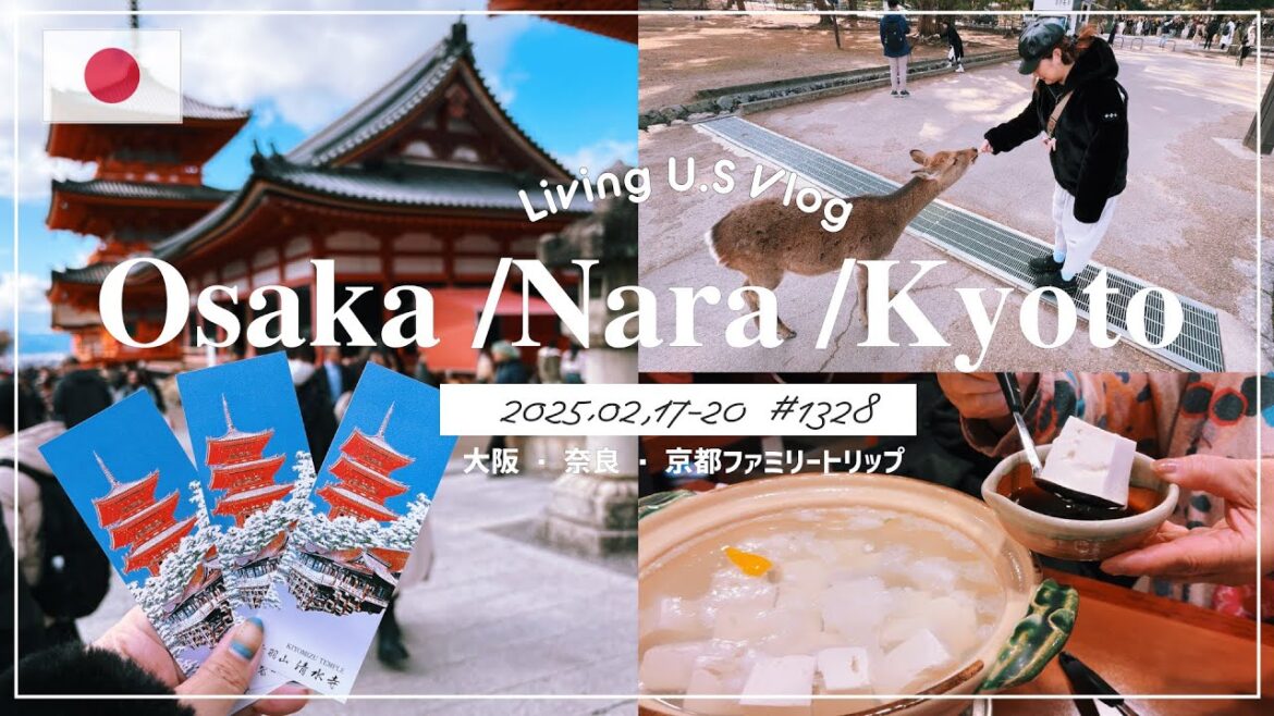 大阪・奈良・京都旅vlog🇯🇵「母も合流して3人で家族旅行❣️あ〜やっぱり日本って最高ですね😊🇯🇵」奈良公園 | 南禅寺 順正 | 清水寺 〔アメリカ移住物語🗽🌴 第1328話〕