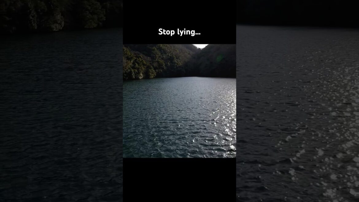 Stop lying… #shorts