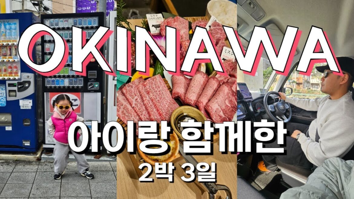 4살 아이랑 오키나와 2박3일 여행 브이로그✨ |렌트카주의사항|추라우미🐳|돈키호테 쿠폰|JR 규슈 호텔 블라섬 나하|국제거리|와규 4살 아이랑 오키나와 2박3일 여행 브이로그✨ |렌트카주의사항|추라우미🐳|돈키호테 쿠폰|JR 규슈 호텔 블라섬 나하|국제거리|와규
