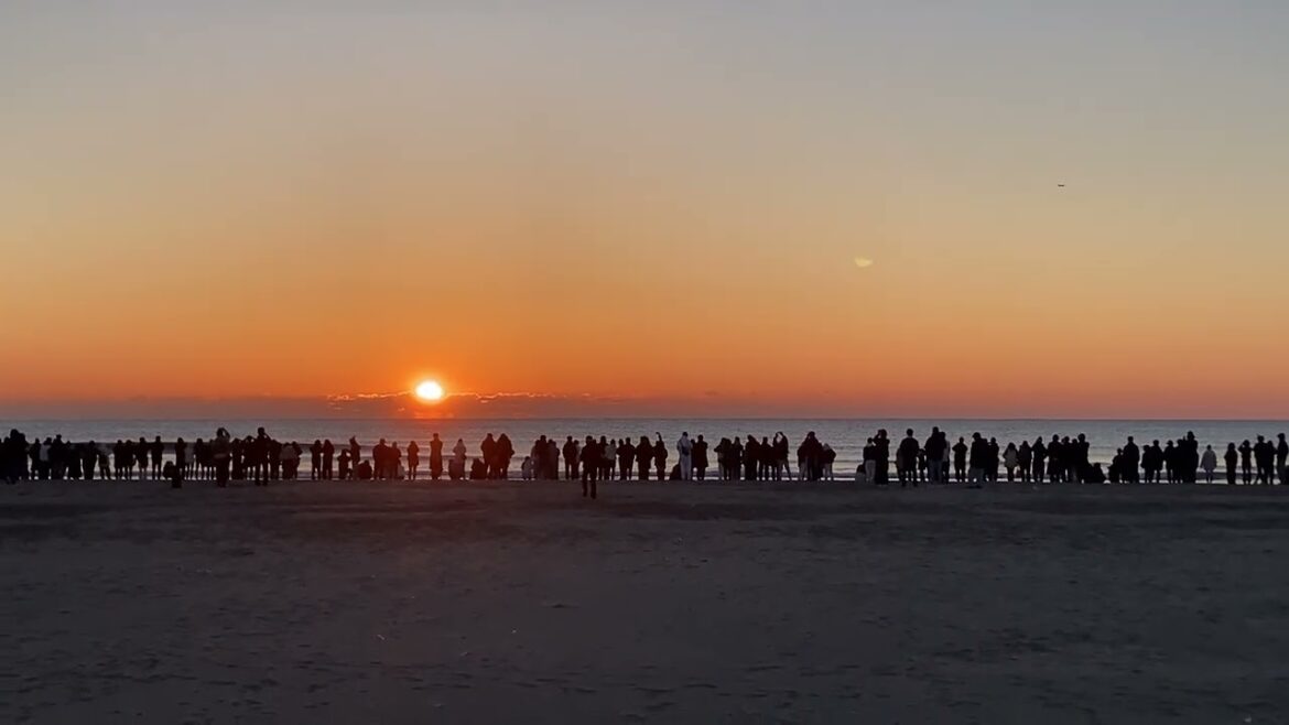 2311 Sunrise, Chiba 2311 Sunrise, Chiba