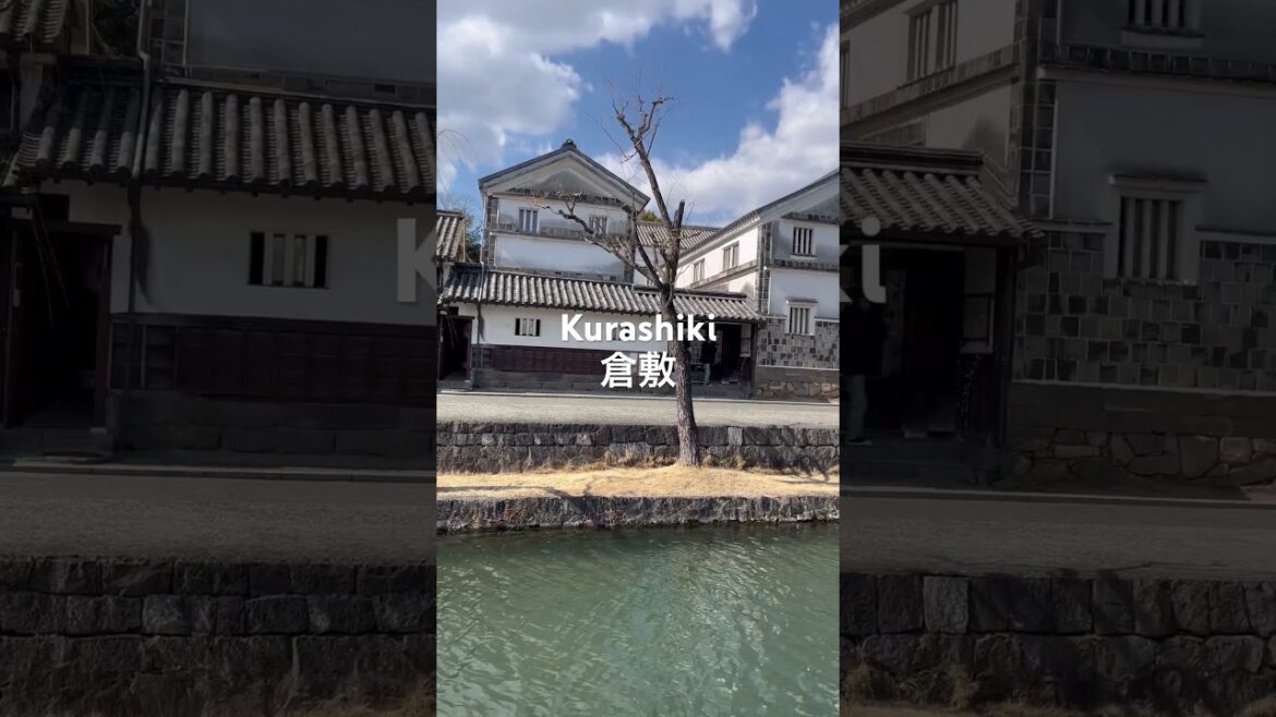 구라시키미관지구