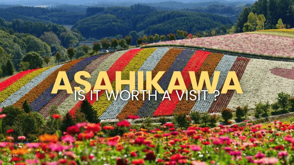 Asahikawa in Winter & Autumn: Hokkaido’s Hidden Gem Through the Seasons Asahikawa in Winter & Autumn: Hokkaido’s Hidden Gem Through the Seasons