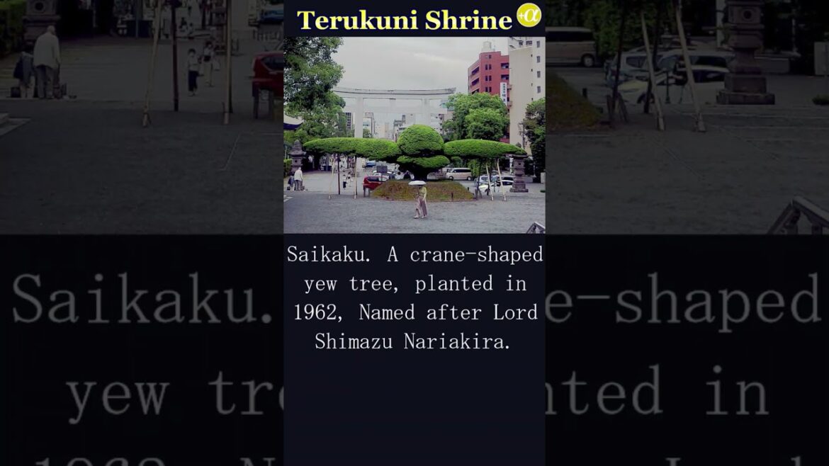 Terukuni Shrine in Kagoshima City. #Shorts