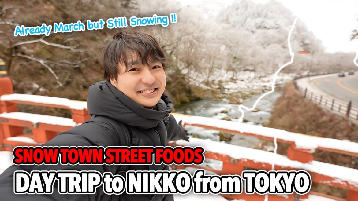 Luxury Train Ride from Tokyo to Nikko, Street Foods in Beautiful Snow Town and Snowy Shrine Ep.555 Luxury Train Ride from Tokyo to Nikko, Street Foods in Beautiful Snow Town and Snowy Shrine Ep.555