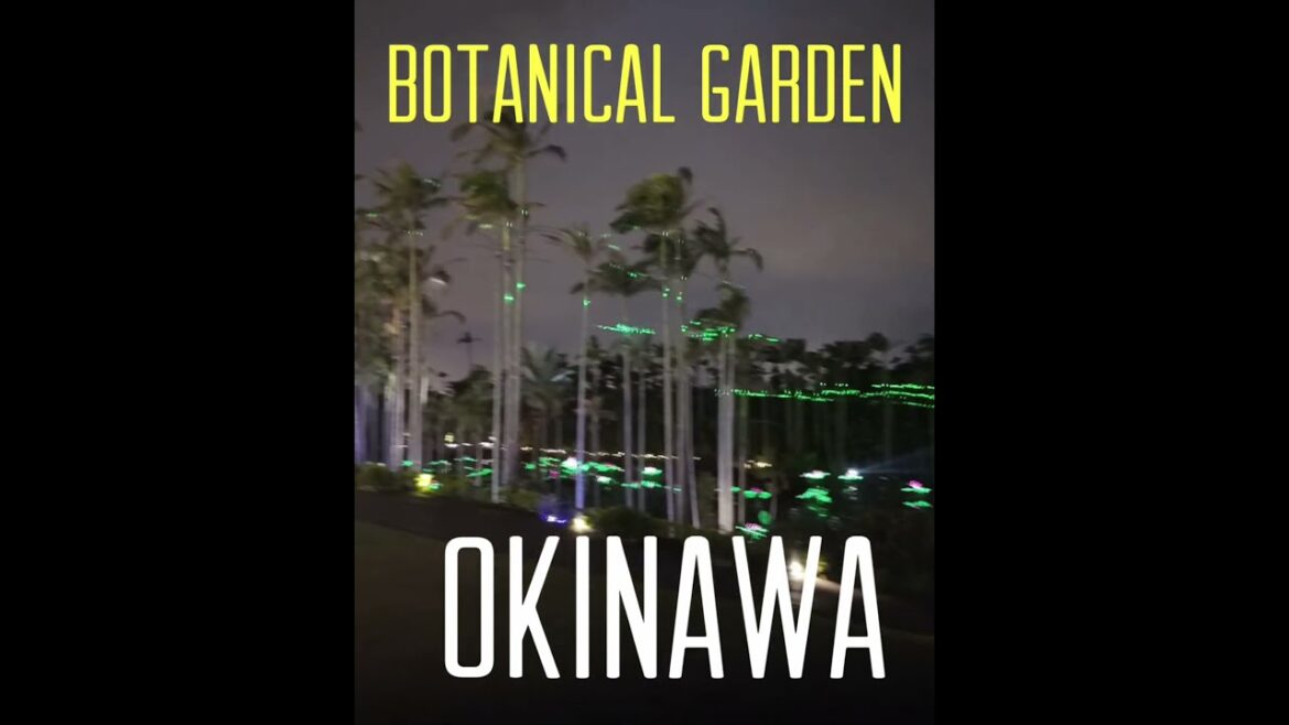 Japan Illumination Botanical garden Okinawa