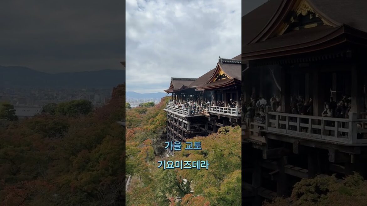 ★SHORTS009 일본 교토의 기요미즈데라(청수사)
