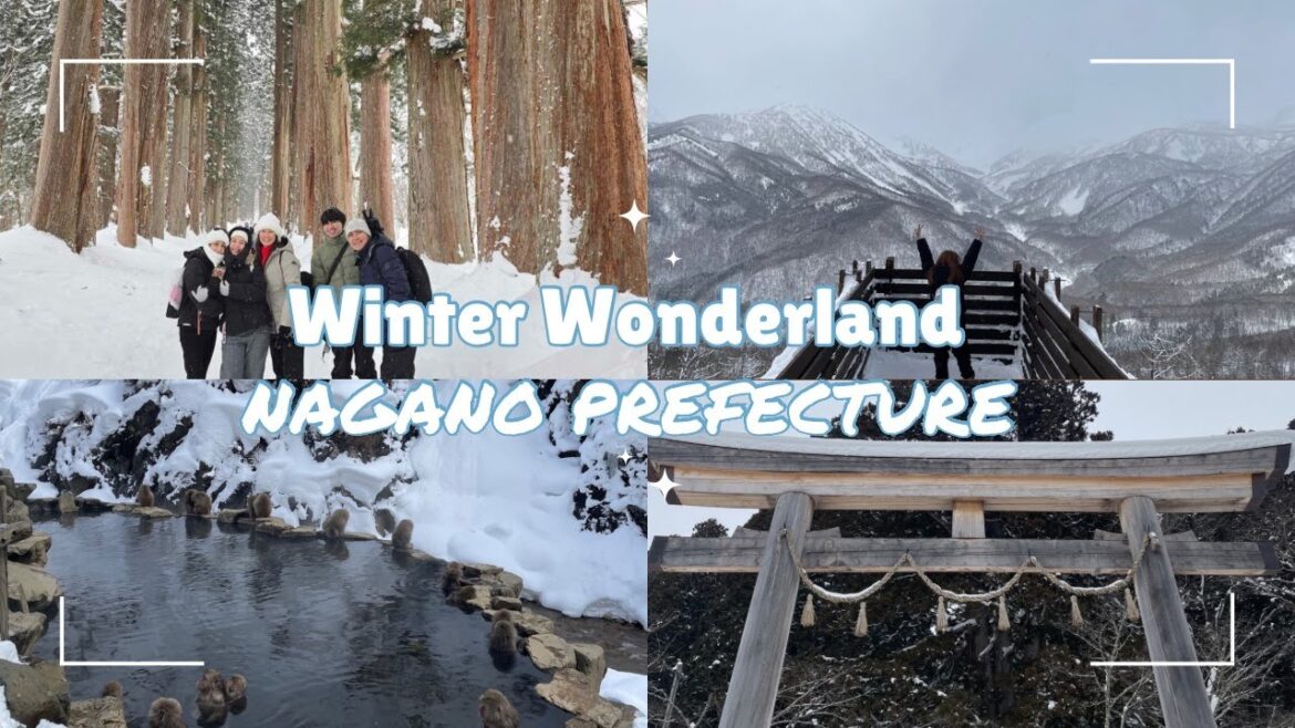 Winter Wonderland in Nagano, Japan 2025