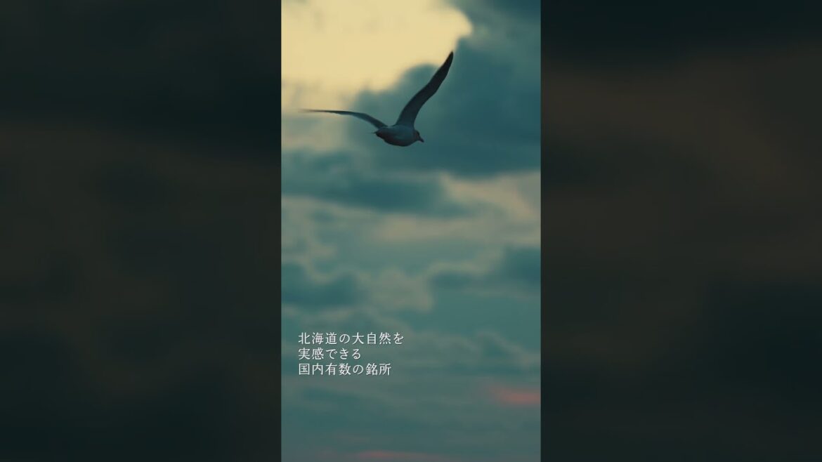＼🗾北海道のオススメスポットをご紹介✨／🏔襟裳岬🏔#襟裳岬#北海道観光#絶景スポット#北海道絶景#癒しの旅#hokkaidolove
