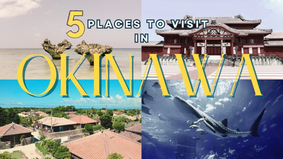Okinawa’s Top 5 Must-Visit Spots! Tropical Paradise Awaits｜沖縄のオススメ観光スポット5選