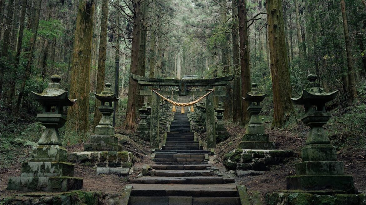 Across Japan with the Sony a7CII Across Japan with the Sony a7CII