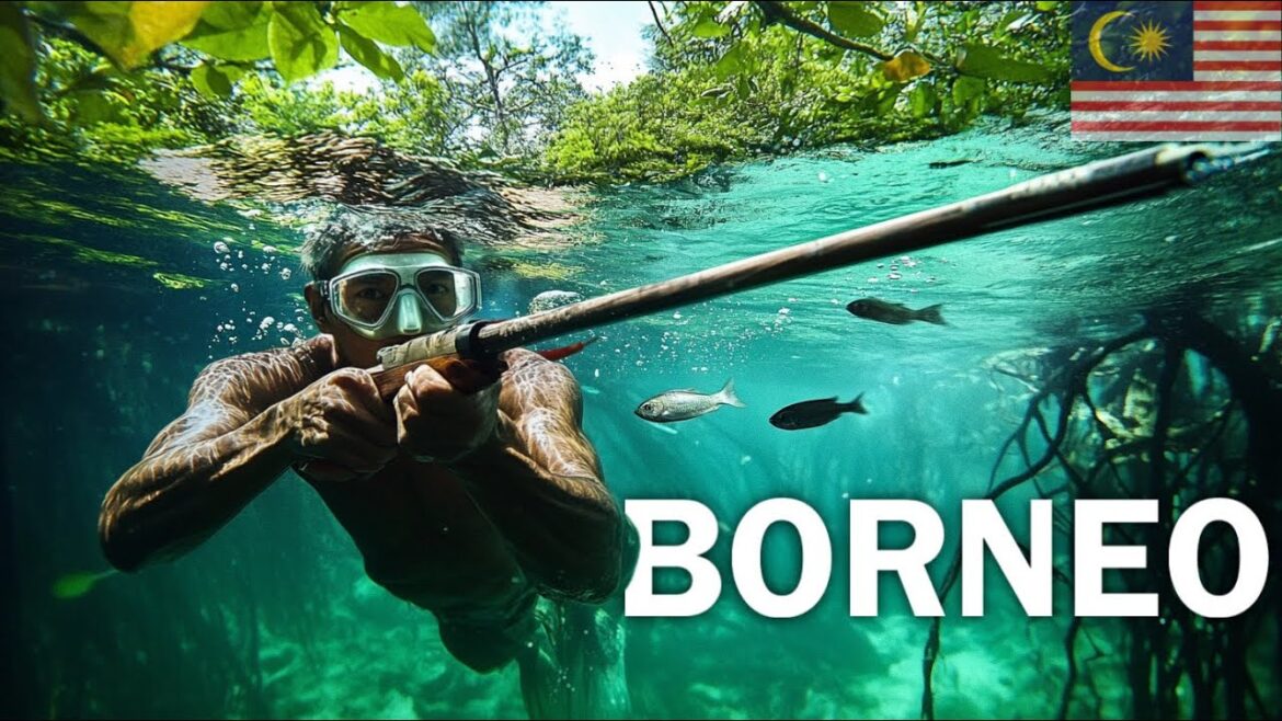 HUNTING WITH THE HEADHUNTERS OF BORNEO : Iban Tribe HUNTING WITH THE HEADHUNTERS OF BORNEO : Iban Tribe