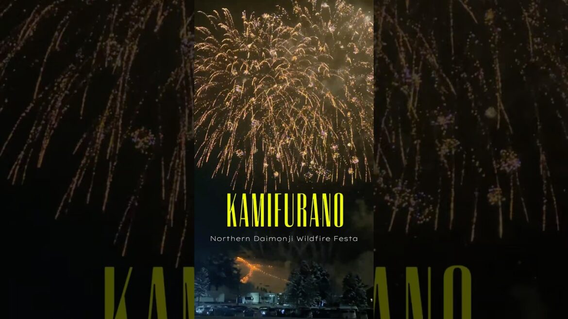 Japan Winterreise Vlog 5 - Kami-Furano 🎇 #japan #japanreisen #hokkaido #biei #shiroganeonsen